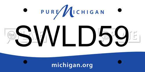 SWLD59 Michigan License Plate