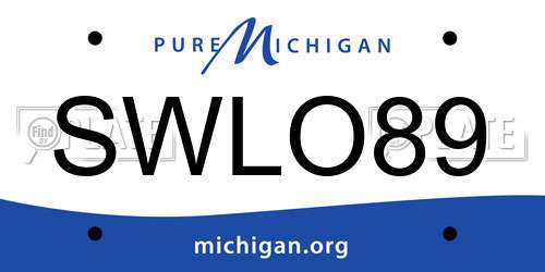 SWLO89 Michigan License Plate