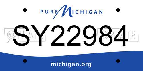 SY22984 Michigan License Plate