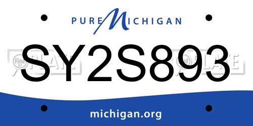 SY2S893 Michigan License Plate