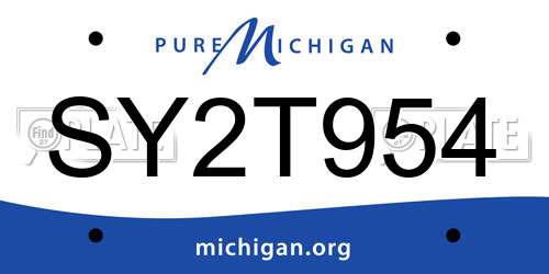 SY2T954 Michigan License Plate