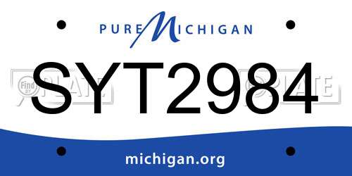 SYT2984 Michigan License Plate