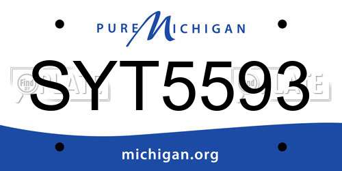 SYT5593 Michigan License Plate