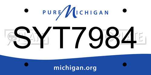 SYT7984 Michigan License Plate