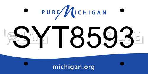SYT8593 Michigan License Plate