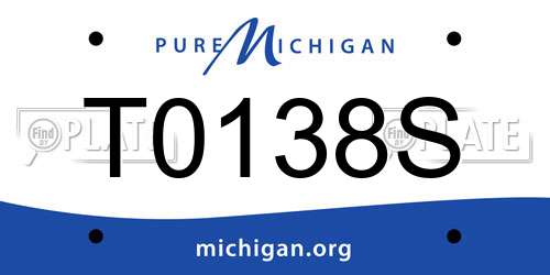 T0138S Michigan License Plate