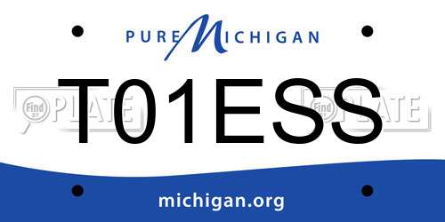 T01ESS Michigan License Plate