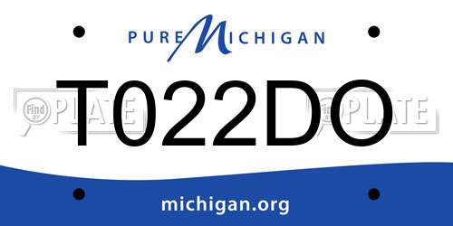 T022DO Michigan License Plate
