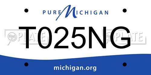 T025NG Michigan License Plate