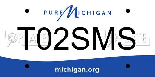 T02SMS Michigan License Plate
