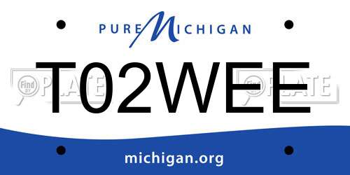 T02WEE Michigan License Plate