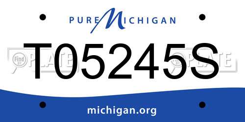 T05245S Michigan License Plate