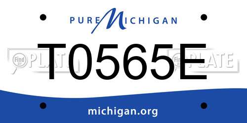 T0565E Michigan License Plate