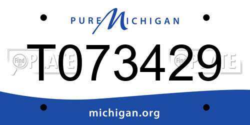 T073429 Michigan License Plate