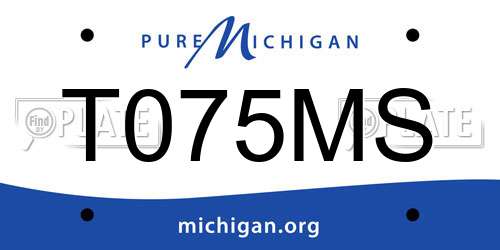 T075MS Michigan License Plate