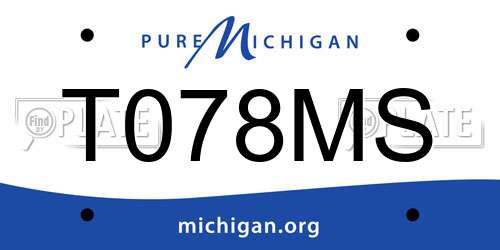 T078MS Michigan License Plate