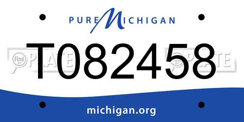 T082458 Michigan License Plate