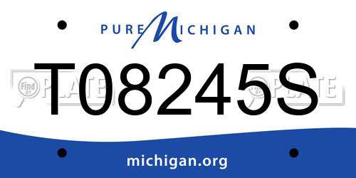 T08245S Michigan License Plate