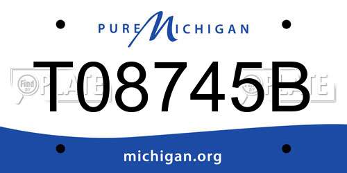 T08745B Michigan License Plate