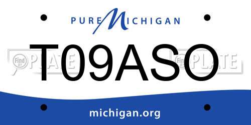 T09ASO Michigan License Plate