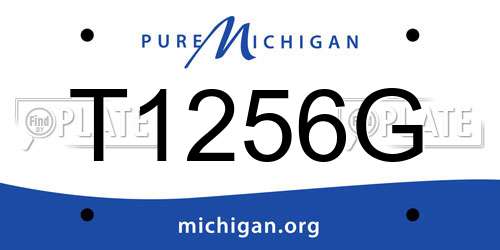 T1256G Michigan License Plate