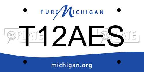 T12AES Michigan License Plate