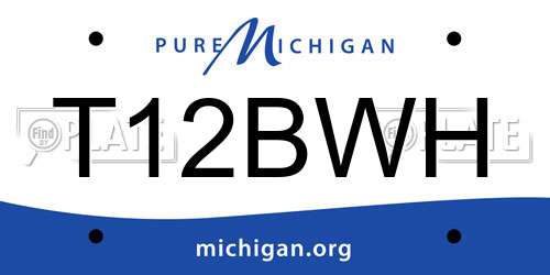 T12BWH Michigan License Plate