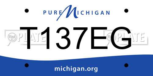 T137EG Michigan License Plate