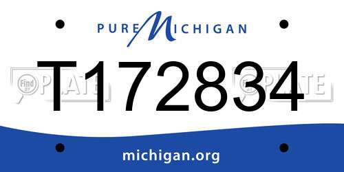T172834 Michigan License Plate