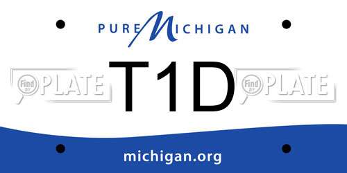 T1D Michigan License Plate