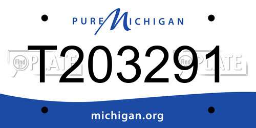T203291 Michigan License Plate