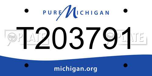T203791 Michigan License Plate