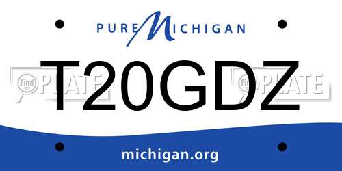 T20GDZ Michigan License Plate
