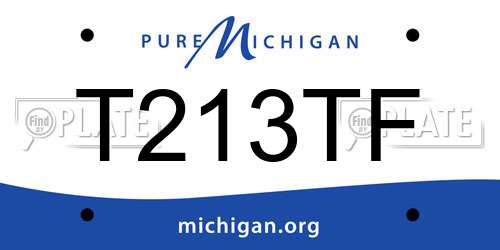 T213TF Michigan License Plate