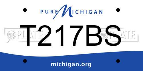 T217BS Michigan License Plate