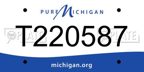 T220587 Michigan License Plate