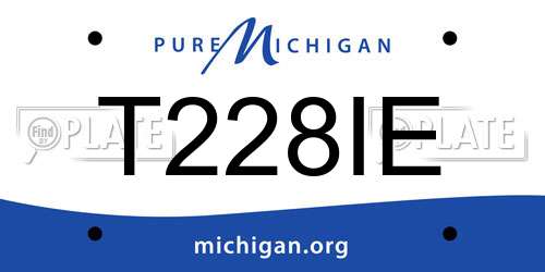 T228IE Michigan License Plate