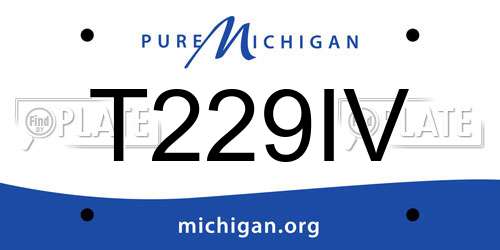T229IV Michigan License Plate