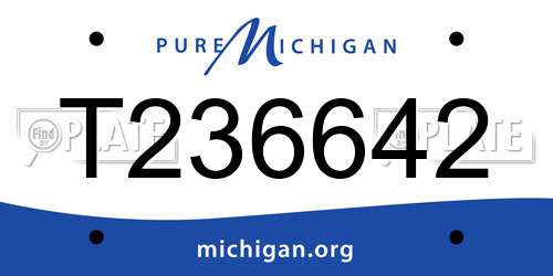 T236642 Michigan License Plate