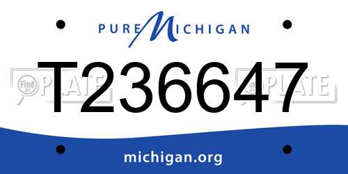 T236647 Michigan License Plate