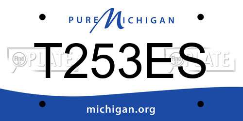 T253ES Michigan License Plate