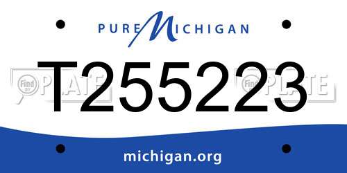 T255223 Michigan License Plate