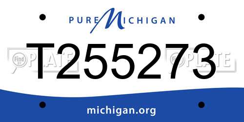 T255273 Michigan License Plate