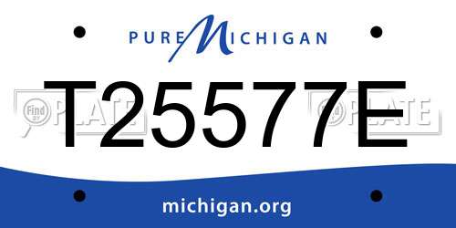 T25577E Michigan License Plate