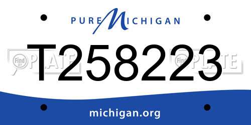 T258223 Michigan License Plate