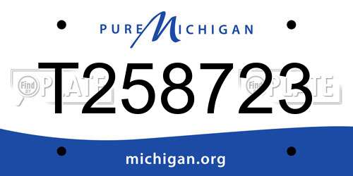T258723 Michigan License Plate