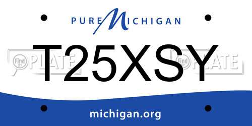 T25XSY Michigan License Plate