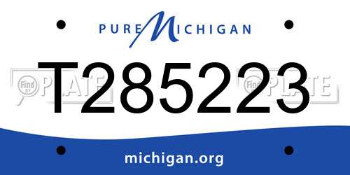 T285223 Michigan License Plate