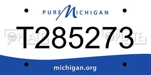 T285273 Michigan License Plate
