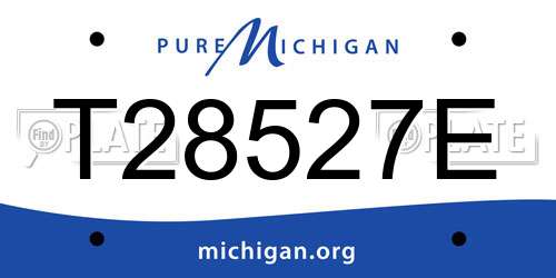 T28527E Michigan License Plate